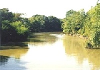 Cache River