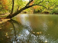 Maumelle River