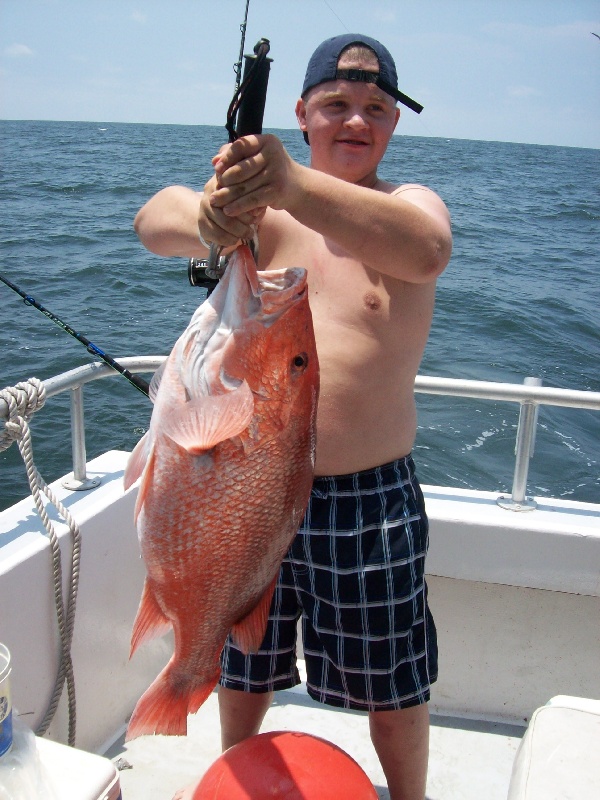 Northern red snapper - Wikipedia