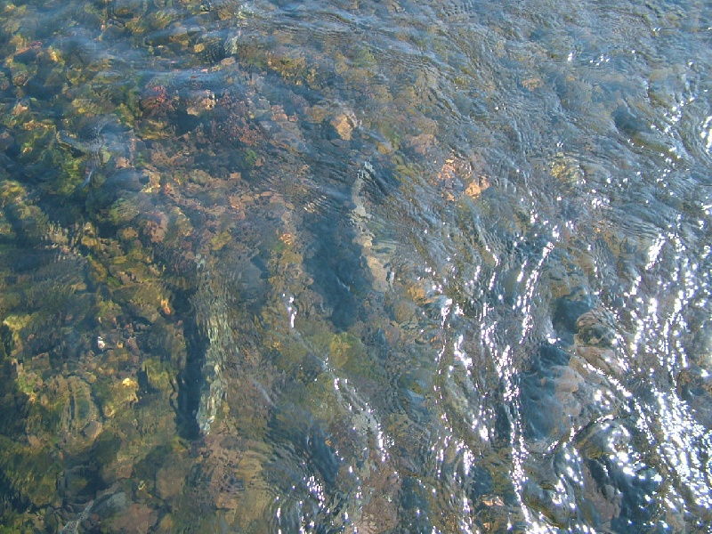 Lake Taneycomo near Alpena