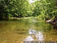 Caddo River