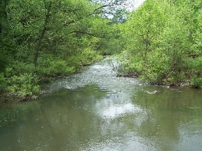 Saline River