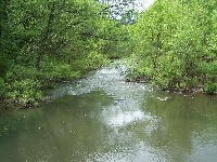 Saline River