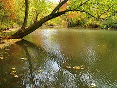 Maumelle River