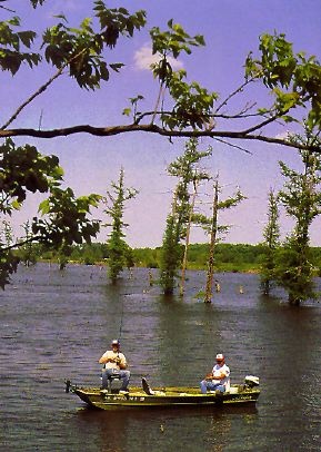 Mallard Lake