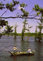 Mallard Lake